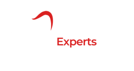 CEJ Experts LMS